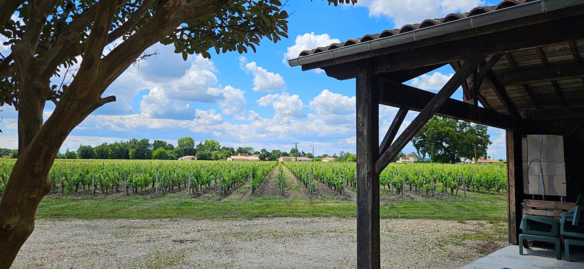 Gite Chateau Touzinat - Saint-Émilion Zewnętrze zdjęcie