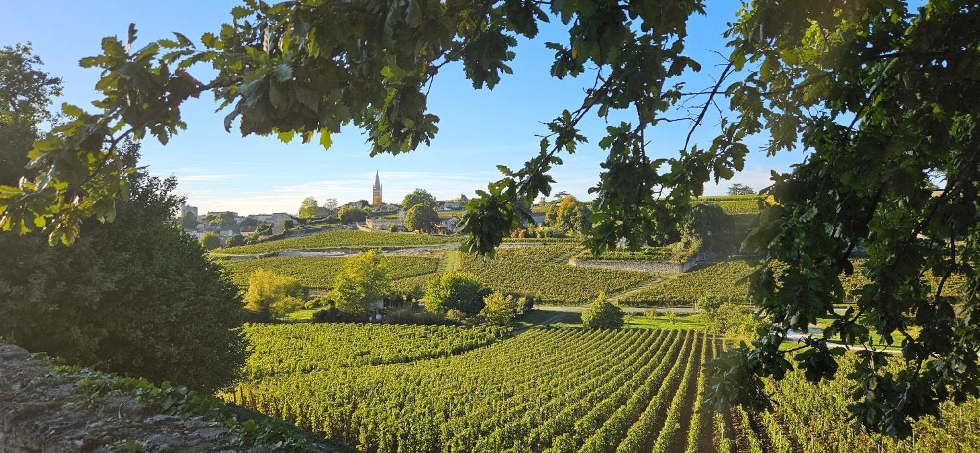 Gite Chateau Touzinat - Saint-Émilion Zewnętrze zdjęcie